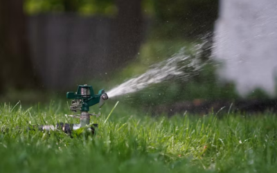 Everything You Need To Know About Sprinkler System Repairs