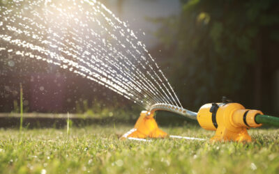 How Long Should Sprinklers Run? Your Guide to Watering Your Lawn