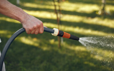 How Much Does a Sprinkler System Cost? A Detailed Cost Guide