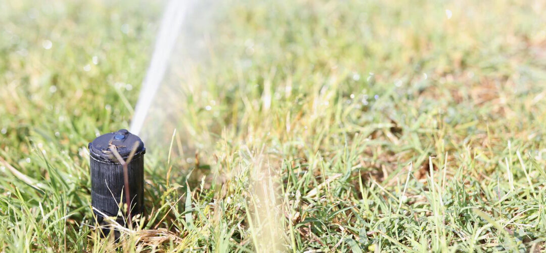 The Ultimate Guide to Sprinkler and Irrigation Systems for Your Lawn and Garden