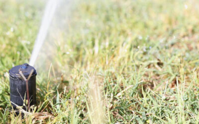 The Ultimate Guide to Sprinkler and Irrigation Systems for Your Lawn and Garden