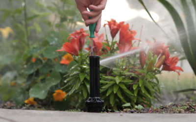 Signs You Need Sprinkler Repair and How to Address Them